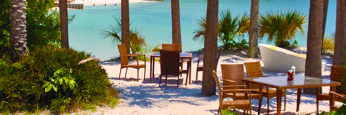 beach next to ocean with trees and tables and chairs