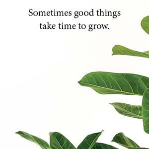Sometimes good things take time to grow.