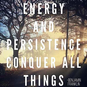 Energy and persistence conquer all things.