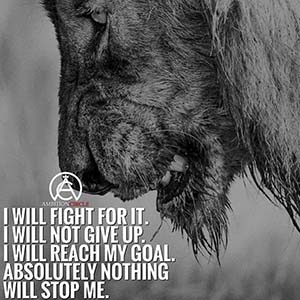 I will fight for it. I will not give up. I will reach my goal. Absolutely nothing will stop me.