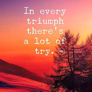 In every triumph there's a lot of try.