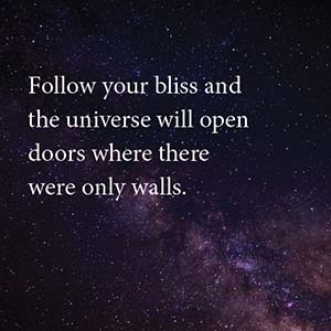 Follow your bliss and the universe will open doors where there were only walls.