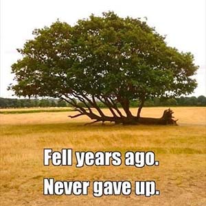Fell years ago. Never gave up.