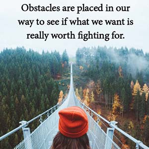 obstacles are placed in our way to see if what we want is really worth fighting for