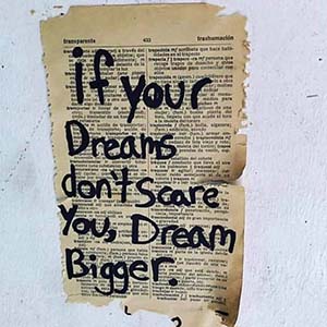 if your dreams don't scare you, dream bigger