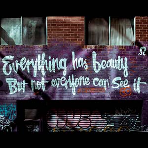 everything has beauty but not everyone can see it